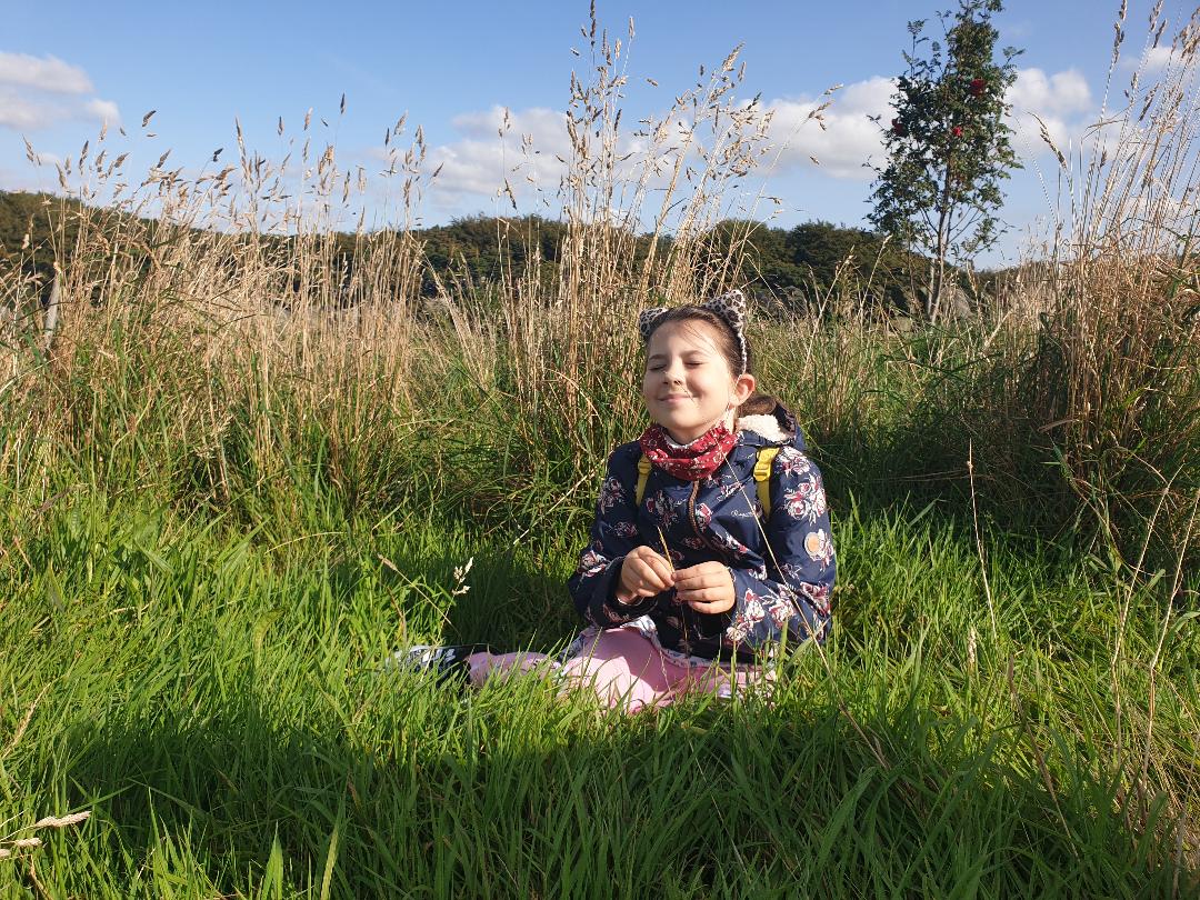 Sabi in the grass